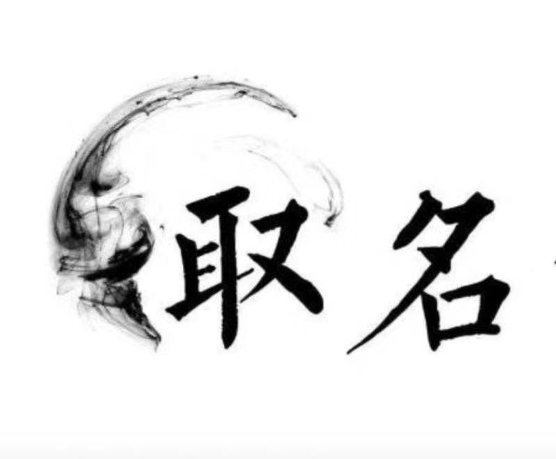  双台子宝宝取名 大师一对一人工起名